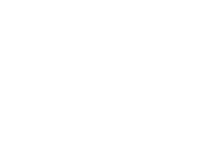 Bridge Technology Services